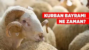 Kurban Bayramı 2025 Ne Zaman? Tatil Kaç Gün Olacak? - Borsametre